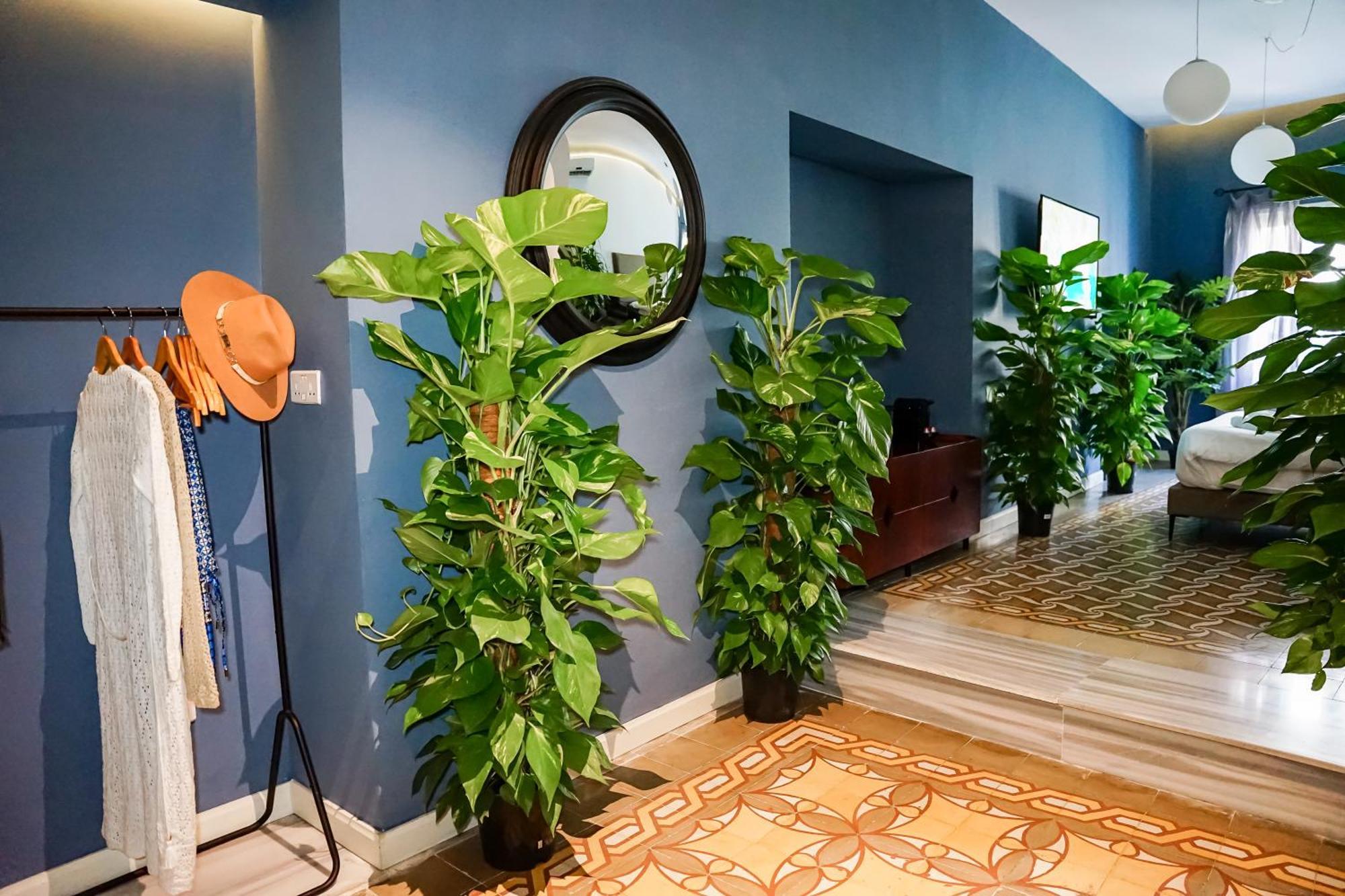Valhalla Boutique Hotel Valletta Exterior photo